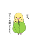 セキセイインコスタンプ8（個別スタンプ：7）