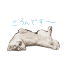 紬と絆衣（個別スタンプ：1）
