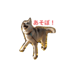 紬と絆衣（個別スタンプ：4）