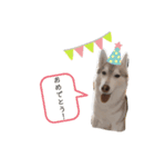 紬と絆衣（個別スタンプ：8）