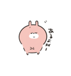 ほんわかうさぎのスタンプ（個別スタンプ：13）