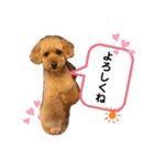 花屋のメル（個別スタンプ：4）