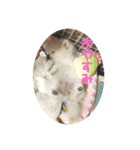 ♥︎クルトン♥︎（個別スタンプ：2）