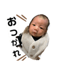 ひっくん 1（個別スタンプ：6）