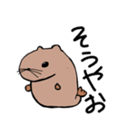 いぬあざらし（個別スタンプ：1）