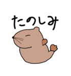いぬあざらし（個別スタンプ：2）