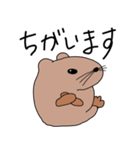 いぬあざらし（個別スタンプ：3）
