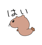 いぬあざらし（個別スタンプ：5）