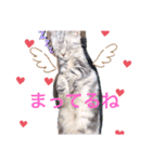 しきなごまぽ－パパママ（個別スタンプ：6）