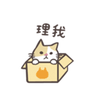 半々の日常ー手書き猫スタンプ（個別スタンプ：13）