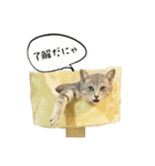猫のこなおくん（個別スタンプ：7）