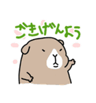 便利！モルモットのような生物のスタンプ（個別スタンプ：1）