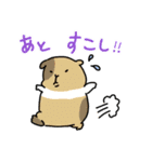 便利！モルモットのような生物のスタンプ（個別スタンプ：9）