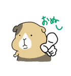 便利！モルモットのような生物のスタンプ（個別スタンプ：14）