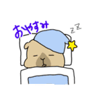 便利！モルモットのような生物のスタンプ（個別スタンプ：23）