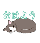 女の子とマンチカン（個別スタンプ：3）
