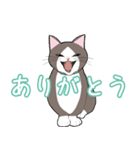 女の子とマンチカン（個別スタンプ：6）