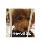 ソラくんの日常 一言（個別スタンプ：5）
