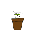 花とあいさつ（個別スタンプ：24）