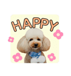アラン日和（個別スタンプ：2）