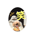 アラン日和（個別スタンプ：4）