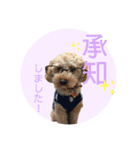 アラン日和（個別スタンプ：6）