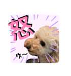 アラン日和（個別スタンプ：8）