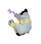 かわいいライム（個別スタンプ：2）