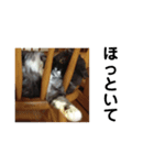 まっちゃん_20200329（個別スタンプ：7）