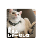 カールとメリーと時々ワシ（個別スタンプ：8）