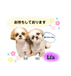 タロとべべの日常（個別スタンプ：7）