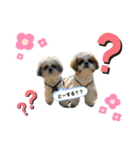タロとべべの日常（個別スタンプ：8）