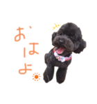 さくらちゃん！！！（個別スタンプ：2）