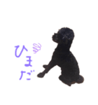 さくらちゃん！！！（個別スタンプ：6）