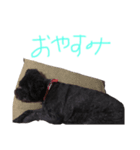 さくらちゃん！！！（個別スタンプ：8）