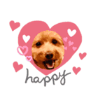 Coco ワンコ（個別スタンプ：4）