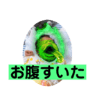 我が家の結輝斗（個別スタンプ：4）