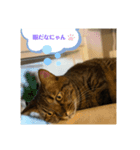 めいちゃんスタンプ続編（個別スタンプ：1）