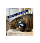 めいちゃんスタンプ続編（個別スタンプ：2）