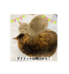 めいちゃんスタンプ続編（個別スタンプ：6）