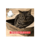 めいちゃんスタンプ続編（個別スタンプ：7）