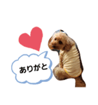 コムコムスタンプ（個別スタンプ：1）