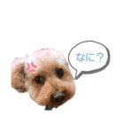 コムコムスタンプ（個別スタンプ：7）