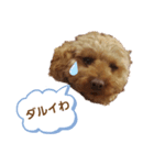 コムコムスタンプ（個別スタンプ：8）