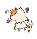 もこぱんあにまるず（個別スタンプ：31）