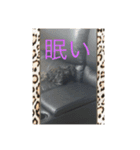 愉快なvelroko（個別スタンプ：1）