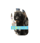 愉快なvelroko（個別スタンプ：3）