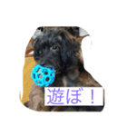 愉快なvelroko（個別スタンプ：7）