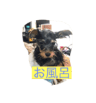 愉快なvelroko（個別スタンプ：8）