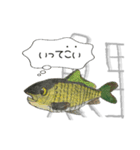 魚のあいさつ①（個別スタンプ：2）